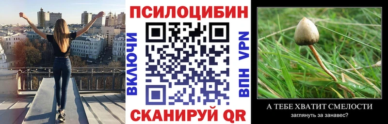 Галлюциногенные грибы Magic Shrooms  цены наркотик  Долгопрудный 