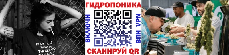 Марихуана OG Kush  купить закладку  нарко площадка клад  Долгопрудный 